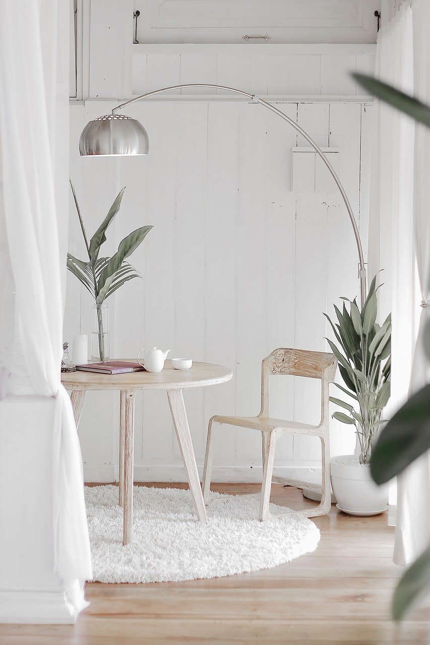plant-4243898_1280